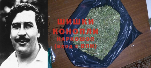 гидра Карталы