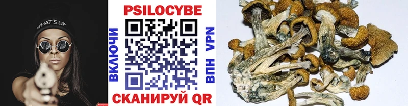 Псилоцибиновые грибы мицелий  Купить где  Лянтор 